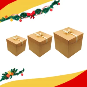 Caja de Cartón con Listón